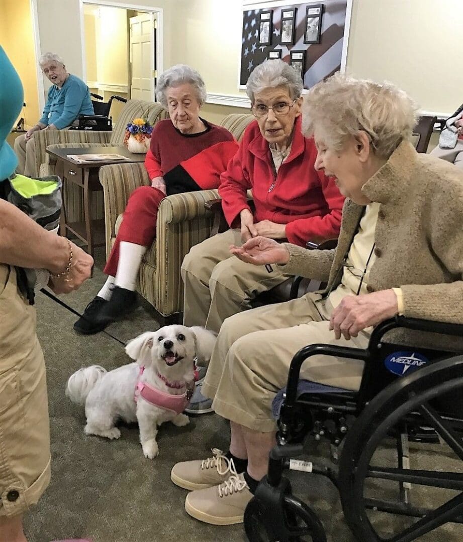 A group of elderly women sitting around with a dog.